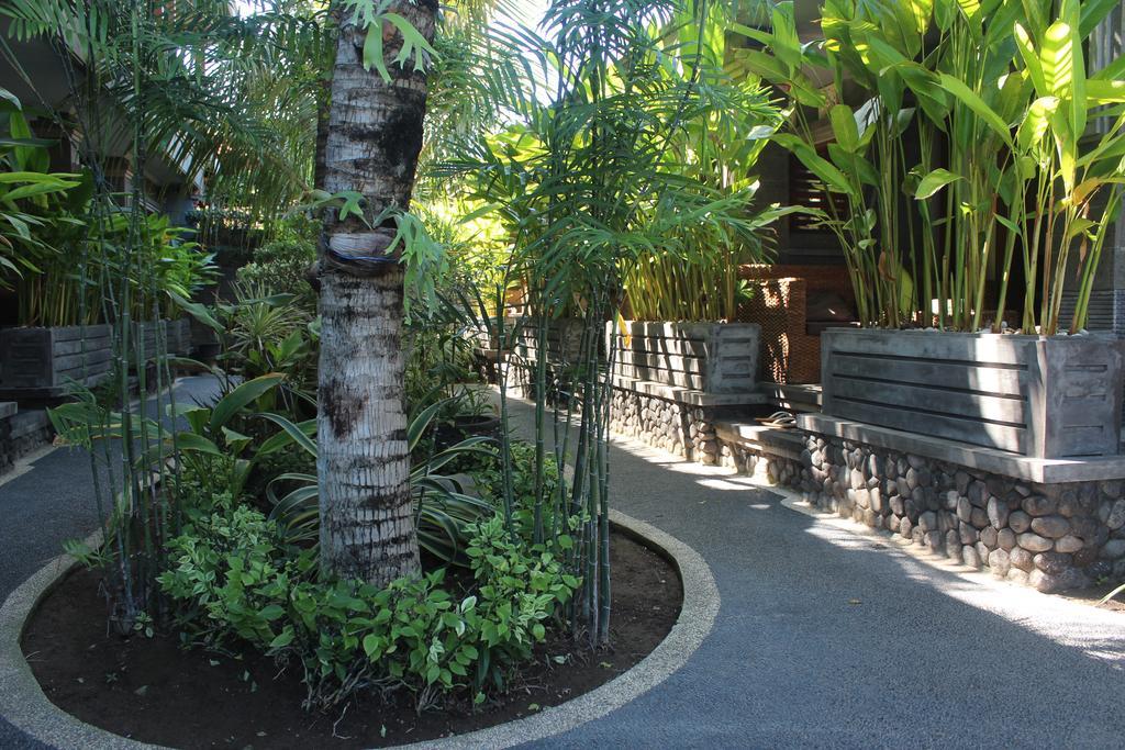 Letos Kubu Homestay Kuta Lombok Εξωτερικό φωτογραφία