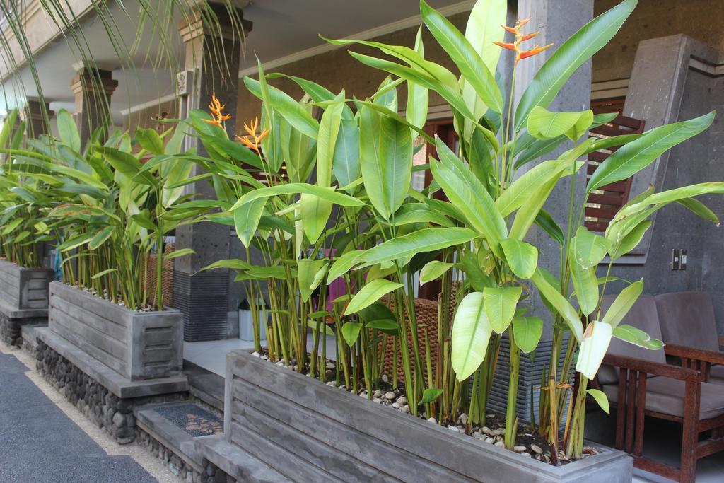 Letos Kubu Homestay Kuta Lombok Εξωτερικό φωτογραφία